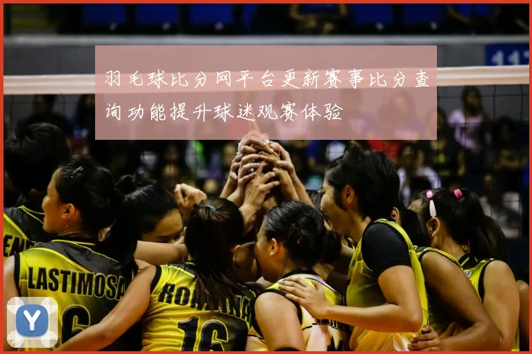 羽毛球比分网平台更新赛事比分查询功能提升球迷观赛体验