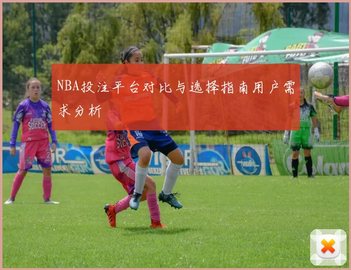 NBA投注平台对比与选择指南用户需求分析