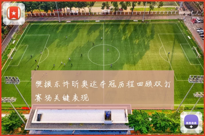 樊振东许昕奥运夺冠历程回顾双打赛场关键表现