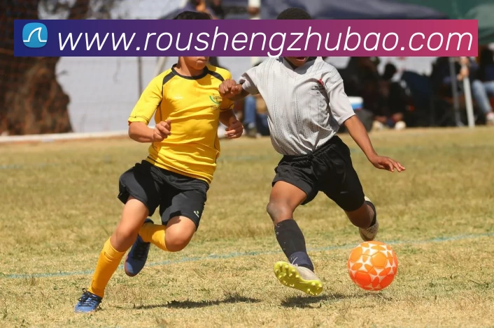 数据防护可视化